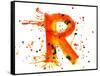 Watercolor Paint - Letter R--Vladimir--Framed Stretched Canvas