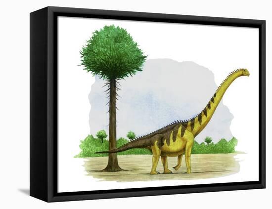 Watercolor Painting of Euhelopus Zdanskyi-null-Framed Stretched Canvas