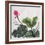 Watercolor Painting Of Lotus Flower-Surovtseva-Framed Art Print