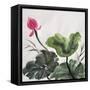 Watercolor Painting Of Lotus Flower-Surovtseva-Framed Stretched Canvas