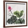 Watercolor Painting Of Lotus Flower-Surovtseva-Framed Art Print