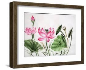 Watercolor Painting Of Pink Lotus-Surovtseva-Framed Art Print