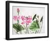 Watercolor Painting Of Pink Lotus-Surovtseva-Framed Art Print