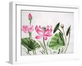 Watercolor Painting Of Pink Lotus-Surovtseva-Framed Art Print