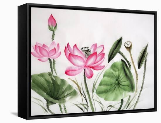 Watercolor Painting Of Pink Lotus-Surovtseva-Framed Stretched Canvas