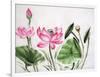 Watercolor Painting Of Pink Lotus-Surovtseva-Framed Art Print