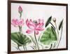 Watercolor Painting Of Pink Lotus-Surovtseva-Framed Art Print