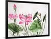 Watercolor Painting Of Pink Lotus-Surovtseva-Framed Art Print