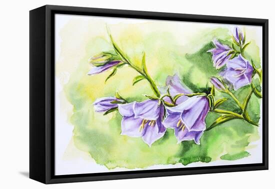 Watercolor Painting Of The Bell Flowers-Valenty-Framed Stretched Canvas