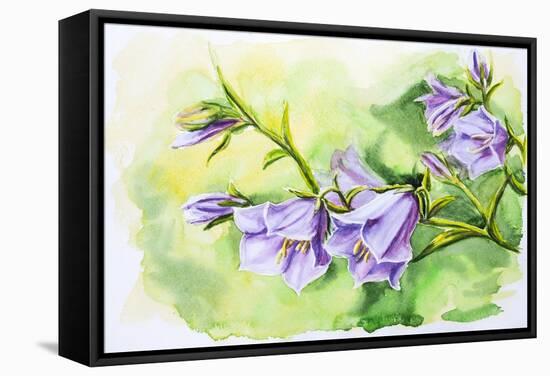 Watercolor Painting Of The Bell Flowers-Valenty-Framed Stretched Canvas