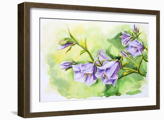 Watercolor Painting Of The Bell Flowers-Valenty-Framed Art Print