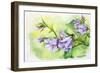 Watercolor Painting Of The Bell Flowers-Valenty-Framed Art Print