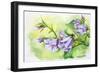 Watercolor Painting Of The Bell Flowers-Valenty-Framed Art Print