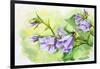 Watercolor Painting Of The Bell Flowers-Valenty-Framed Art Print