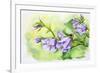 Watercolor Painting Of The Bell Flowers-Valenty-Framed Premium Giclee Print