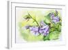 Watercolor Painting Of The Bell Flowers-Valenty-Framed Art Print