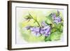 Watercolor Painting Of The Bell Flowers-Valenty-Framed Art Print