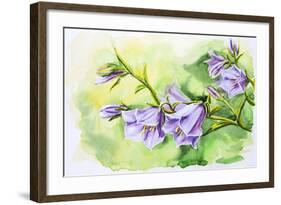 Watercolor Painting Of The Bell Flowers-Valenty-Framed Art Print