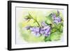 Watercolor Painting Of The Bell Flowers-Valenty-Framed Art Print