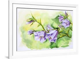 Watercolor Painting Of The Bell Flowers-Valenty-Framed Art Print