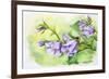 Watercolor Painting Of The Bell Flowers-Valenty-Framed Art Print