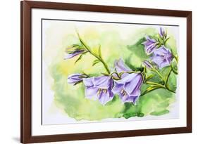 Watercolor Painting Of The Bell Flowers-Valenty-Framed Art Print