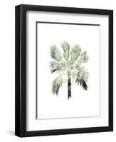 Watercolor Palm of the Tropics I-Grace Popp-Framed Art Print