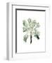 Watercolor Palm of the Tropics I-Grace Popp-Framed Art Print