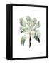 Watercolor Palm of the Tropics I-Grace Popp-Framed Stretched Canvas