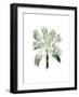 Watercolor Palm of the Tropics I-Grace Popp-Framed Art Print