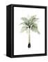 Watercolor Palm of the Tropics II-Grace Popp-Framed Stretched Canvas