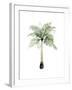 Watercolor Palm of the Tropics II-Grace Popp-Framed Art Print