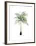 Watercolor Palm of the Tropics II-Grace Popp-Framed Art Print