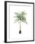 Watercolor Palm of the Tropics II-Grace Popp-Framed Art Print