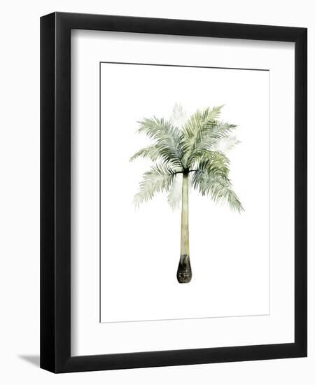 Watercolor Palm of the Tropics II-Grace Popp-Framed Art Print