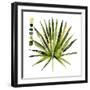 Watercolor Palmetto Palms I-Jennifer Parker-Framed Art Print