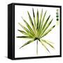 Watercolor Palmetto Palms II-Jennifer Parker-Framed Stretched Canvas