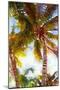 Watercolor Palms I-Emily Navas-Mounted Premium Giclee Print