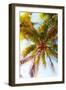Watercolor Palms II-Emily Navas-Framed Premium Giclee Print
