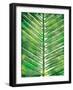 Watercolor Palms Mate-OnRei-Framed Art Print