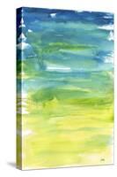 Watercolor Paper II-Elizabeth Medley-Stretched Canvas