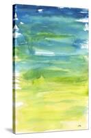 Watercolor Paper II-Elizabeth Medley-Stretched Canvas