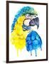 Watercolor Parrot Portrait.-Maria Sem-Framed Art Print