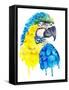 Watercolor Parrot Portrait.-Maria Sem-Framed Stretched Canvas