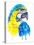 Watercolor Parrot Portrait.-Maria Sem-Stretched Canvas