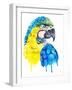 Watercolor Parrot Portrait.-Maria Sem-Framed Art Print