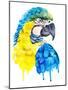 Watercolor Parrot Portrait.-Maria Sem-Mounted Art Print