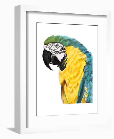 Watercolor Parrot-Naomi McCavitt-Framed Art Print