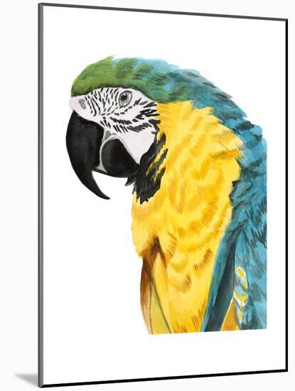 Watercolor Parrot-Naomi McCavitt-Mounted Art Print