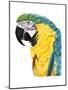 Watercolor Parrot-Naomi McCavitt-Mounted Art Print